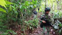 Satgas Yonif Raider 300/Bjw Tingkatkan Keamanan Di Perbatasan RI-PNG