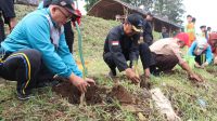 Dansektor 7 Tanam Ribuan Bibit Vertiver