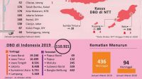 DBD merebak, NTT Paling Terdampak
