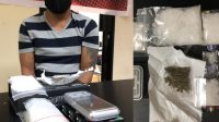 Miliki Sabu dan Ganja, Seorang Pria di Batam Ditangkap Ditresnarkoba Polda Kepri