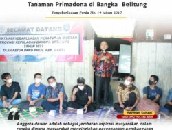 Ketua DPRD Babel : Sawit Masih Menjadi Tanaman Primadona di Bangka Belitung