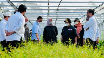 Gov’t to Rehabilitate Forests in Nusantara Capital City
