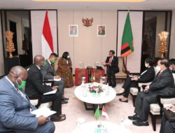 President Jokowi Receives Courtesy Call from VP of Zambia