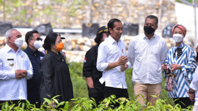 President Jokowi: Mentawir Nursery Becomes Government’s Commitment in Managing Environment