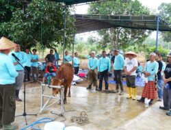 Pemkot Pangkalpinang Suka Cita Merayakan Idul Adha 1443 H, Molen : Kita Distribusikan Qurban Dari Pintu Ke Pintu