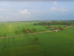 Inilah Progres Pengembangan Lumbung Pangan di Indonesia