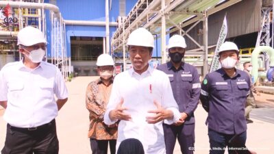 Presiden Dorong PT Timah Ikuti Hilirisasi Nikel