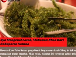 Ayo Mengenal Latoh, Makanan Khas Dari Kabupaten Natuna