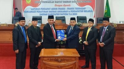 Meninjau Implementasi  Otonomi Daerah Saat ini