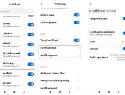 Ingin Nada Dering WhatsApp Lebih Keren? Coba Lagu dan Suara Sendiri!