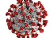 Sering Kena Flu? Waspadai Gejala Influenza A yang Mirip Flu Biasa