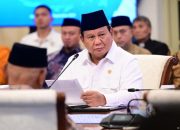 Prabowo dan Sawit Papua: Mengapa?