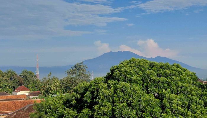 Kisah Foto: Riset Kelapa BRIN-GAPNI, Salatiga-Semarang