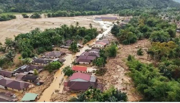 Tragedi Banjir: 961 Korban Jiwa, 4 Perusahaan Dibekukan!
