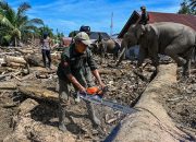 Tragedi Sumatera: Ratusan Jiwa Melayang, Identifikasi Terhambat