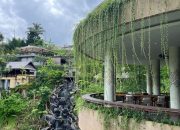 Ubud: Surga Hijau Bali Berkelanjutan