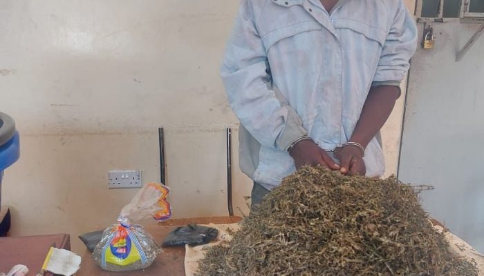 Kiambu Bust: Police Nab Suspect, Seize Sh200K Bhang
