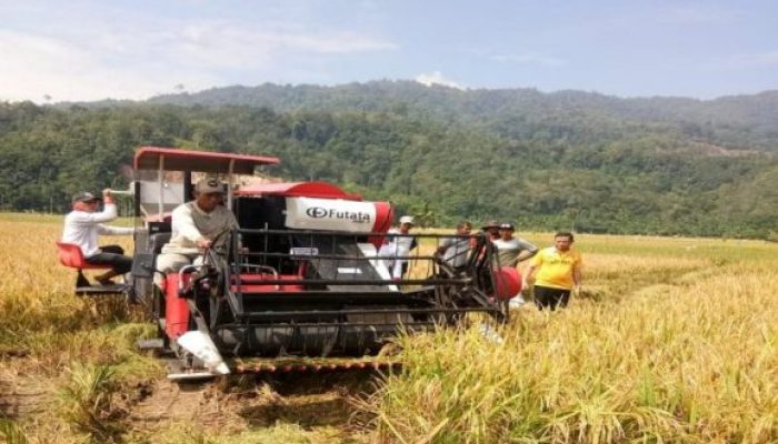 Panen Kangkung, Panen Disiplin: Lapas Empat Lawang Tanamkan Etos Kerja Warga Binaan