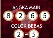 Prediksi Final Piala Interkontinental: PSG Ungguli Flamengo Raih Juara Dunia