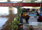 Waspada Genangan Ragunan & Rob Ancol: Ingatkan Pemprov Jakarta