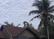Cuaca Bengkulu Tengah 26 Jan 2026: Berawan