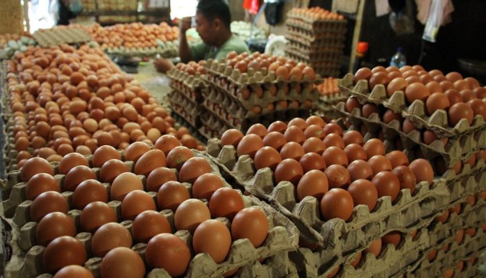 Pantauan harga telur di Pasar Mandalika, bertahan di angka Rp50 ribu per tray