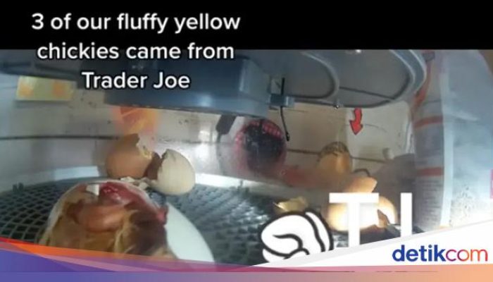 Sosok Holis yang videonya viral karena diintimidasi, sehari-hari berjualan telur