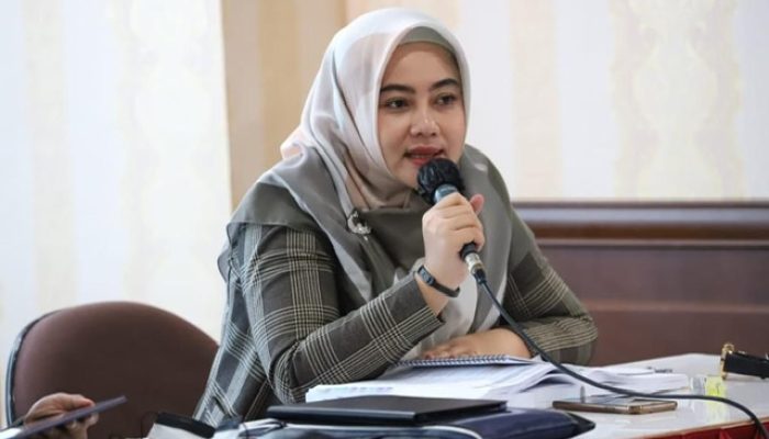 DPRD Kepri Meradang: Ratusan TKA Ilegal Masuk, Di Mana Fungsi Pengawasan