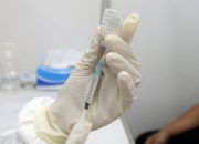 Vaksinasi LSD Jembrana: 3.940 Dosis Tiba, Belum Penuhi Estimasi Populasi