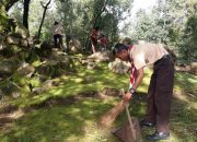 Jejak Majapahit: Candi Planggatan Sang Prabu Brawijaya V