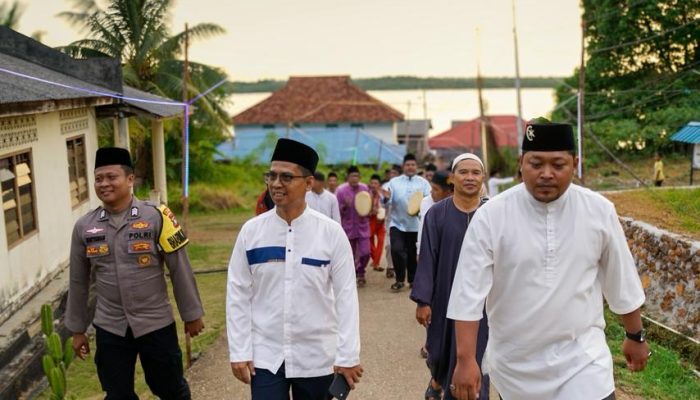Pulau Belat Diproyeksikan Jadi Pusat Investasi PLTS di Karimun