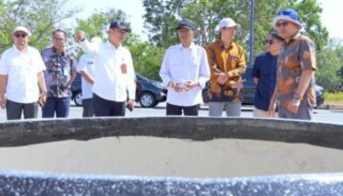 Batam Berbenah, Wali Kota Tinjau Penataan Taman dan Infrastruktur Kota