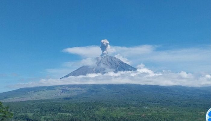 Semeru Meletus Lagi, Letusan Capai 1.000 Meter, Status Siaga