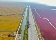 Studi: Emisi GRK dari sawah berlipat ganda 60 tahun terakhir