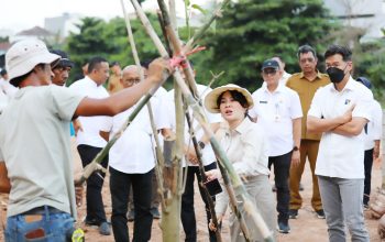 Li Claudia Tanam Pohon, Awali Penataan DAS Baloi Indah Jadi Taman Kota