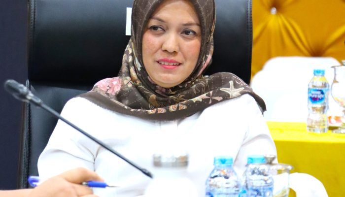 Komisi VII DPR RI Serap Aspirasi Pengembangan Pariwisata & Investasi Bintan