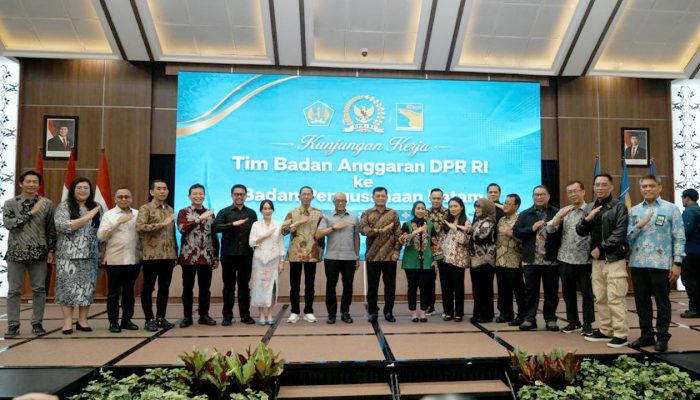 BP Batam Terima Kunker Banggar DPR RI, Perkuat Batam sebagai Pusat Investasi Nasional