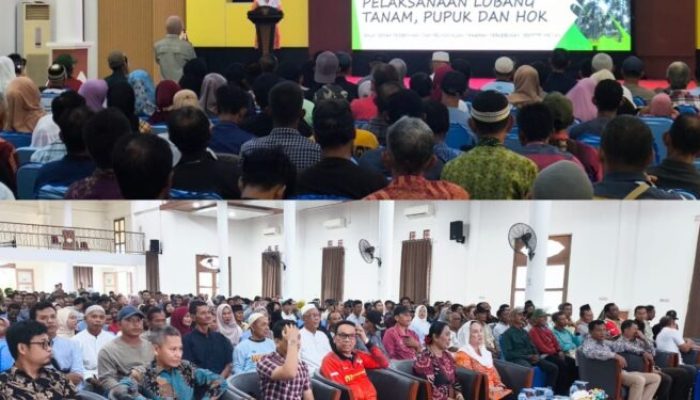 Jualan Kementan: Rp973 Juta Bibit Kelapa Natuna Dipertanyakan